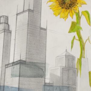 Sunflower watercolor and pencil