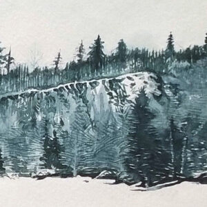Boundary Waters Winter detail, Caribou Bluff