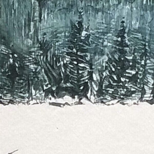 Boundary Waters Winter detail