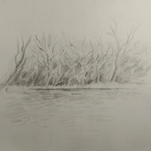 Sketchbook grass