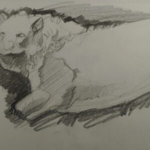 Sketch