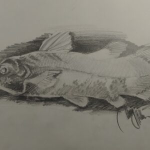 Sketchbook-2