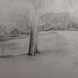 Worth Park, Minneapolis, Minnesota, pencil, 12x14