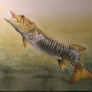 fish